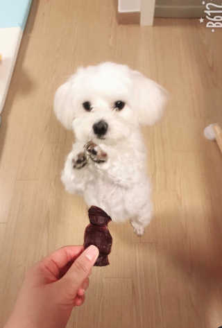 마틸다님이 올린 리뷰 사진 1
