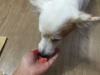 다니킴님이 올린 리뷰 사진 1