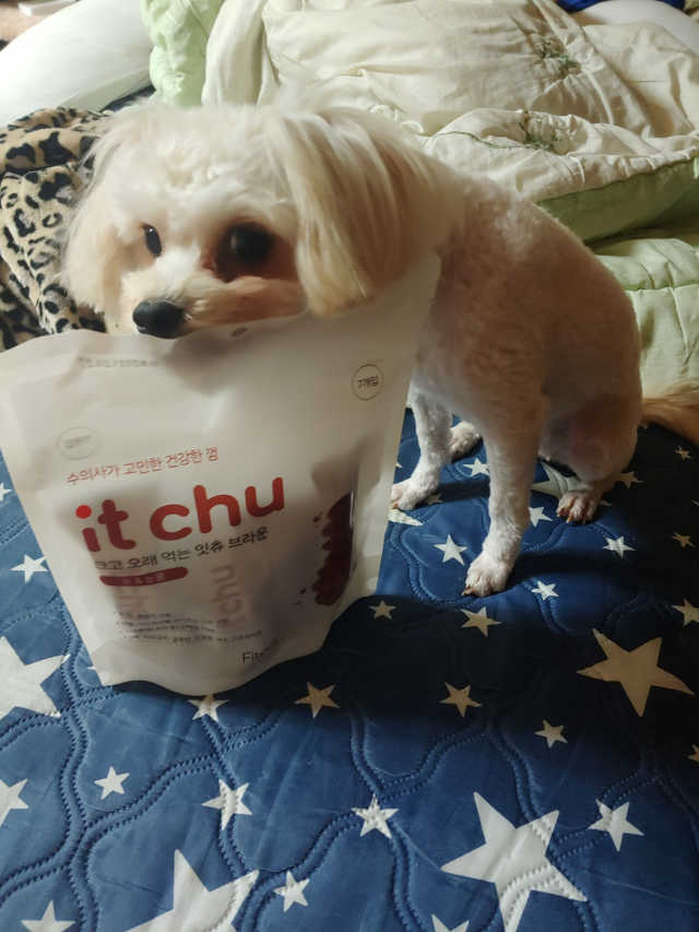 NEW 잇츄 리뷰 사진