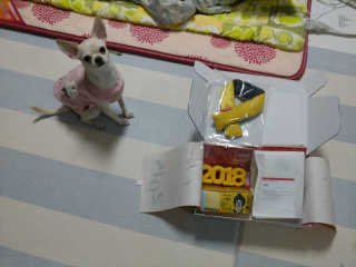 pobi님이 올린 리뷰 사진 1