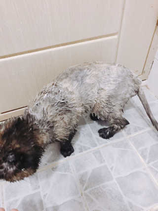 서인까꿍님이 올린 리뷰 사진 1