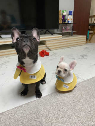 연보라님이 올린 리뷰 사진 3