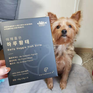 펫테라피 플레이트 야채품은 하루황태 — 5점을 준 리뷰어가 2020년 1월 올린 사용 사진