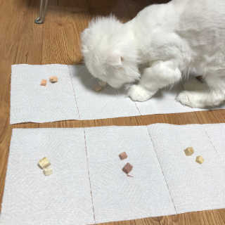 이선하님이 올린 리뷰 사진 4