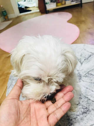 정이님이 올린 리뷰 사진 2