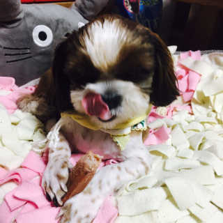 우지희님이 올린 리뷰 사진 1