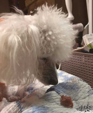 김슬기님이 올린 리뷰 사진 2