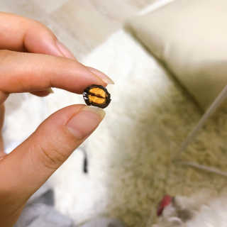 하늘님이 올린 리뷰 사진 4