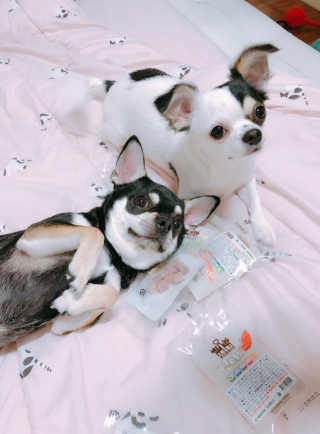 리뷰의여왕님이 올린 리뷰 사진 1