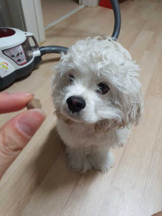 째니니님이 올린 리뷰 사진 3