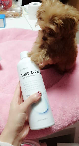 ehlove님이 올린 리뷰 사진 1