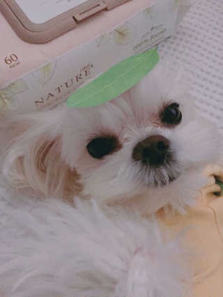 단발소녀님이 올린 리뷰 사진 2