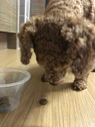 이보은님이 올린 리뷰 사진 3