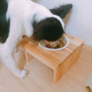 마법의성님이 올린 리뷰 사진 4