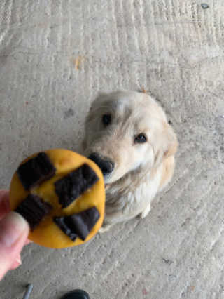 큐티윤님이 올린 리뷰 사진 3