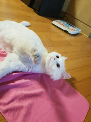 원블리님이 올린 리뷰 사진 1