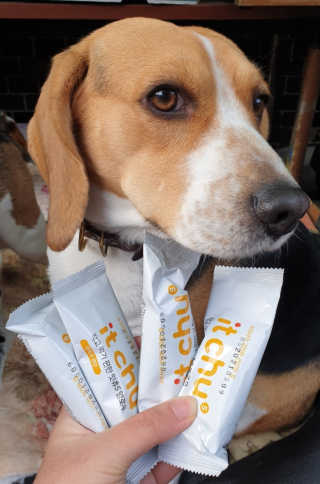 beaglelove님이 올린 리뷰 사진 1