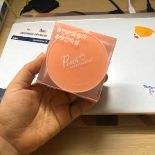 [블랙루즈] 피치 커버 벨벳 쿠션 2종 중 택1 — 4점을 준 리뷰어가 2019년 9월 올린 사용 사진
