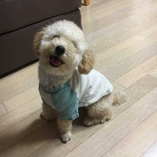 순돌이15님이 올린 리뷰 사진 1