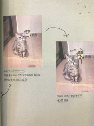 조언니님이 올린 리뷰 사진 4