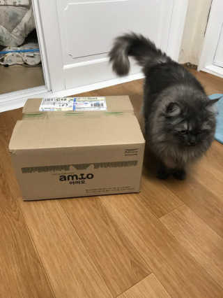 오래오니뚜님이 올린 리뷰 사진 1