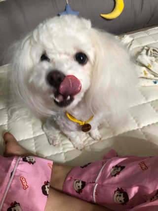 춘자도하님이 올린 리뷰 사진 2