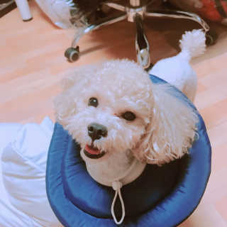 오민정님이 올린 리뷰 사진 2