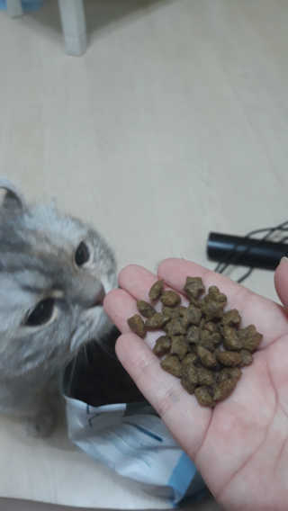 쏘주님이 올린 리뷰 사진 2