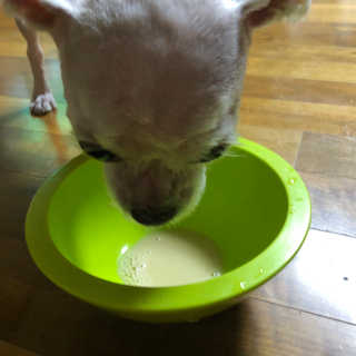 설블리맘님이 올린 리뷰 사진 4