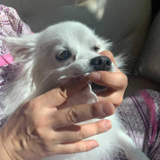 혜띠님이 올린 리뷰 사진 2