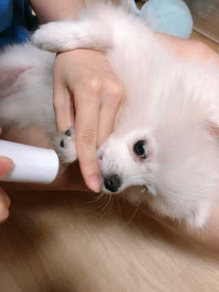 뿌쏘님이 올린 리뷰 사진 3