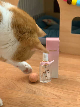 난이님이 올린 리뷰 사진 2