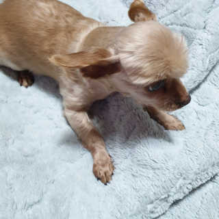 한별님이 올린 리뷰 사진 4
