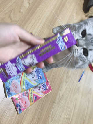 배융빵님이 올린 리뷰 사진 4