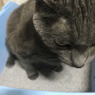 정현하님이 올린 리뷰 사진 1