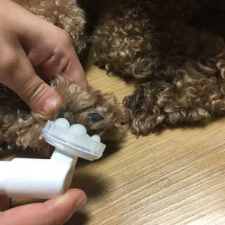 BakVeronica님이 올린 리뷰 사진 2