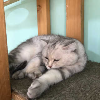 하니님이 올린 리뷰 사진 3