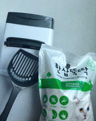 [펫토리아] BEST 고양이두부모래 6L 한삽뚝딱 — 5점을 준 리뷰어가 2019년 1월 올린 사용 사진