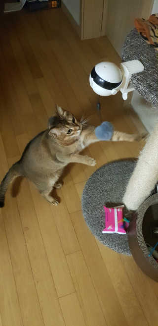 반짝님이 올린 리뷰 사진 3
