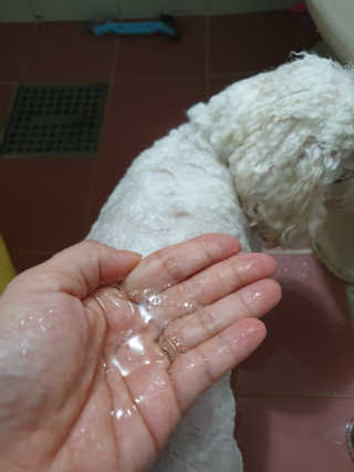 호두맘님이 올린 리뷰 사진 4