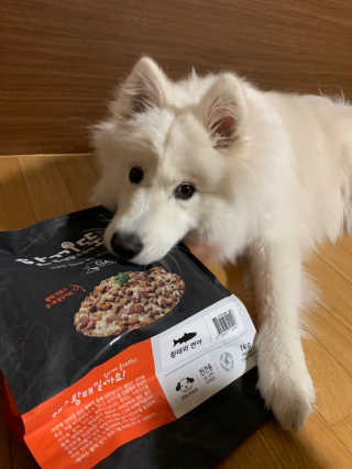 [펫토리아] 맛도 영양도 BEST 한끼뚝딱 강아지 사료 — 5점을 준 리뷰어가 2018년 12월 올린 사용 사진