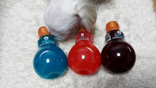 noname님이 올린 리뷰 사진 1