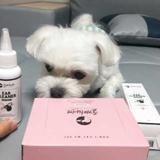 제진영님이 올린 리뷰 사진 3