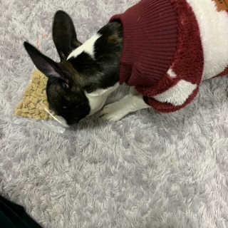 하림님이 올린 리뷰 사진 2