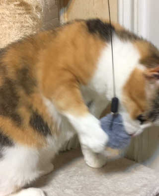 우블리님이 올린 리뷰 사진 1