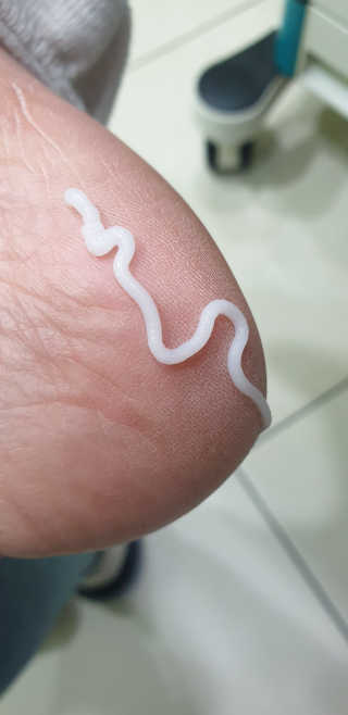 빵가게주인님이 올린 리뷰 사진 3