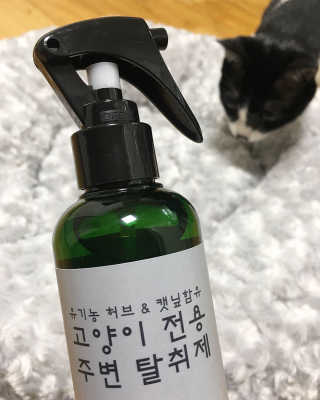 dandelion님이 올린 리뷰 사진 3
