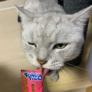 헬로샤샤님이 올린 리뷰 사진 2
