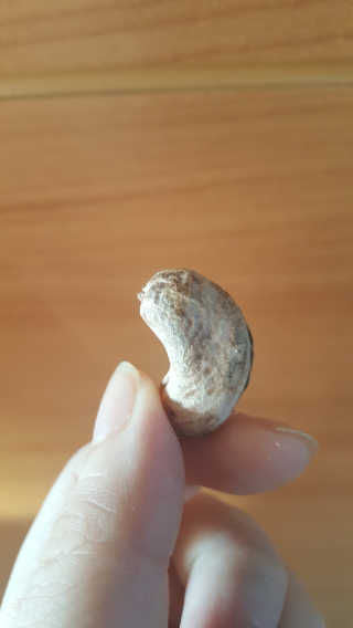 JiminKim님이 올린 리뷰 사진 2