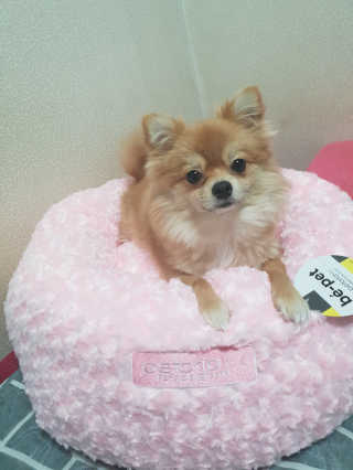 tmvksl5님이 올린 리뷰 사진 3